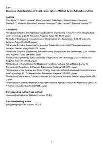 IVM2024_preprint.pdf