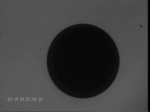 0319NiTi6#1.png