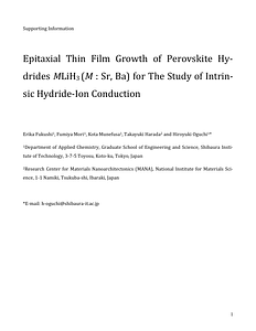 Supporting Information_MLiH3 Paper_EF.pdf