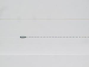 250006.jpg
