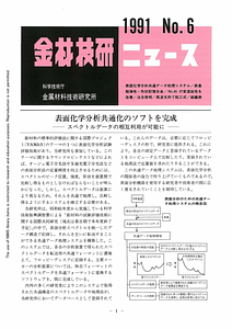 NRIMNews1991-06.pdf