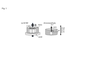 JJSPM_muraoka_figures.pdf