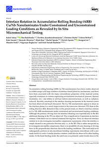nanomaterials-15-01528 (1).pdf