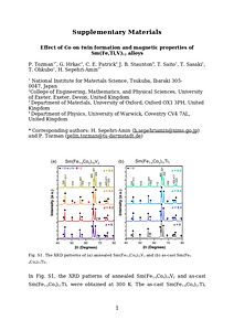Supplementary file.docx