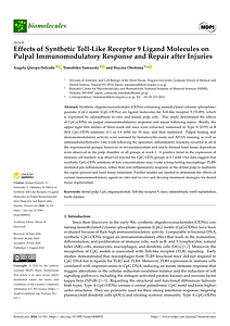 Effects of Synthetic Toll--2024-Quispe-Salcedo.pdf