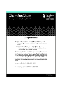 ChemSusChem2025.pdf