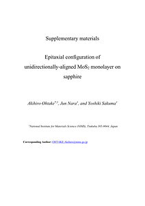 SM.pdf