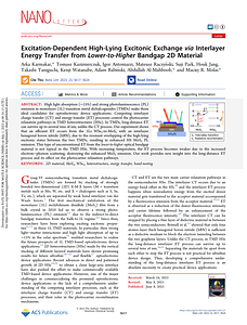 acs.nanolett.3c01127.pdf