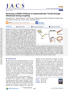 JACS,2025,147,23528.pdf