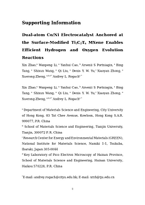 Xin SI 0116.docx