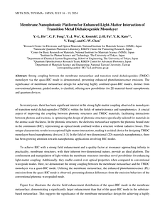META_summary_template YLH.pdf
