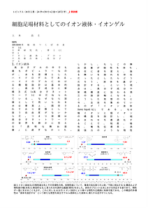 250710_上木_高分子.doc