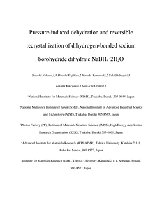 Manuscript_NaBH4-2H2O_Nakano.pdf