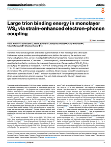 s43246-025-00809-z.pdf