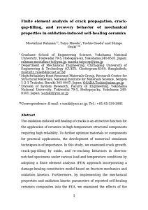 Manuscript_IJSS_R1(unmarked).docx