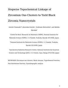 black_zirconia_20251125.docx