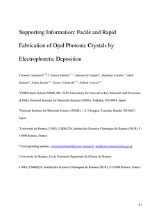 SupportingInformation.pdf