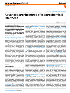 s42004-025-01633-9.pdf