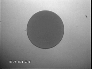 A0222Re#1.png