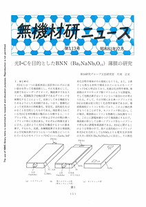 NIRIMNews0113.pdf