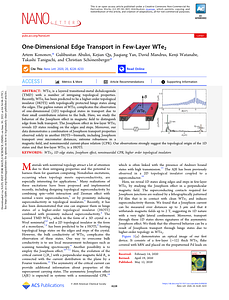 acs.nanolett.0c00658.pdf