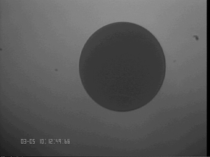 A0305Os6#1.png
