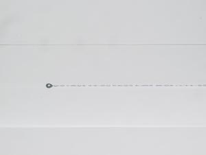 250009.jpg