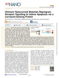 acsnano.6c00463.pdf