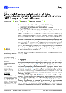 nanomaterials-14-01413.pdf