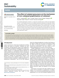 RSC Sustainability.pdf