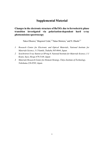 BTO_HAXPES_SM_published_final.pdf