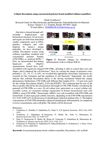 ISF2024_Abstract(YOSHIKAWA)rev.pdf