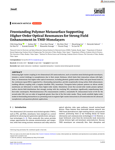 Small - 2026 - Deng - Freestanding Polymer Metasurface Supporting Higher‐Order Optical Resonances for Strong Field.pdf