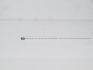 270002.jpg