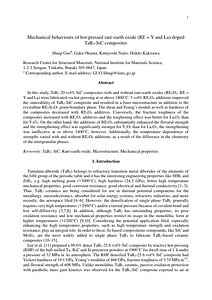 Text-DMR.pdf