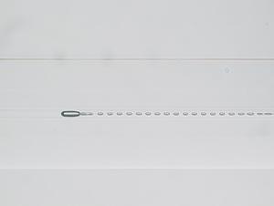 250001.jpg