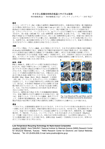 100217.pdf