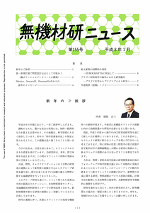 NIRIMNews0155.pdf
