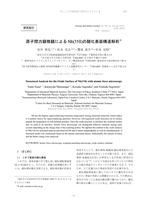 yasui_20240611.pdf