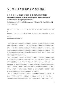 光学_2024KW_final.docx