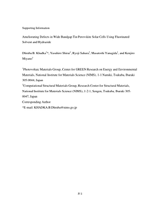 SI file.pdf