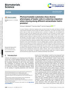 d4bm00225c.pdf