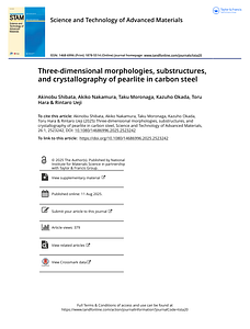 2025_STAM_pearlite.pdf