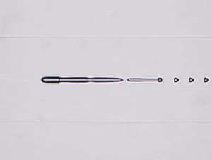 1101-280002.jpg